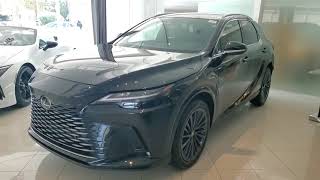 2024 Lexus RX 350 Premium Schaumburg IL 241207 [upl. by Aneeles]