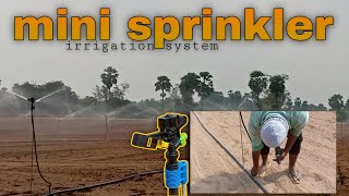 mini sprinkler irrigation system [upl. by Richelle]