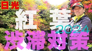 日光【日光 紅葉渋滞対策 ドライブ編】知らないとヤバい！渋滞回避 ７つの裏ワザ！2024最新版！ [upl. by Goldwin]