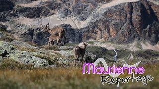 Maurienne Reportage 137  Clip Haute Maurienne Vanoise [upl. by Ling446]