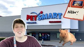 HUNTING FOR MORE NEW HAMSTER ITEMS AT PETSMART [upl. by Viola435]