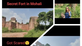 We visited the Secret Fort in Mohali  Monu got Scared 😱 Manauli Fort mohali [upl. by Tayler385]