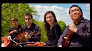 Dont Stop Believing  LFQ String Quartet [upl. by Oniluap]