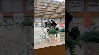 Showjumping competition 😎 pferd horse equestrian [upl. by Jaan192]