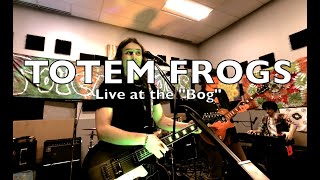 Totem Frogs LIVE at the quotBogquot 11824 [upl. by Bennion892]