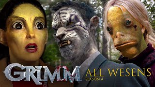 EVERY Wesen From Season 4  Grimm [upl. by Lletnuahs]