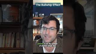 The Bullwhip Effect in Agricultural Economics [upl. by Akinor758]