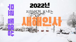 2022년 새해인사 동영상  무료소스 [upl. by Annayat]