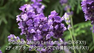 RAYNOX DCR5320PRO 532 Diopter HD 3in1 Macro conversion lensA [upl. by Anuait]