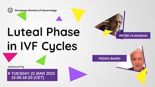 Luteal Phase in IVF Cycles [upl. by Eelyk]