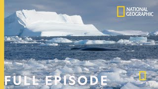 Storming Antarctica Full Episode  Continent 7 Antarctica [upl. by Sharl]