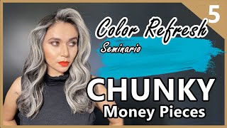 CHUNKY Money Pieces  Paso a Paso  5 de 6  Seminario Color Refresh [upl. by Lorusso]