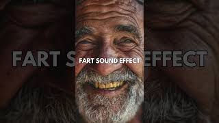 Fart Sound Effect Dive Into a World of Hilarious Fart Noises 🌪️ [upl. by Fabriane390]