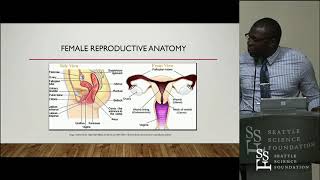 The Clinical Anatomy of Dyspareunia  Yusuf O Alimi MD [upl. by Garlen]