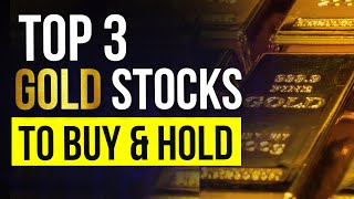 Top 3 Gold Stocks to Buy and Hold in 2024 [upl. by Anier724]