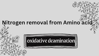 397 oxidative deamination D amino acid oxidase [upl. by Anaud]