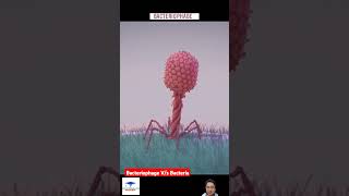 Bacteriophage Vs Bacteria shorts [upl. by Olney193]