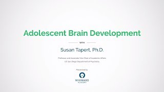 Mindful Moments Adolescent Brain Development [upl. by Cerelia]