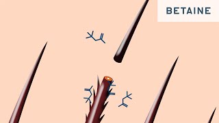 Difference between Betaine and Cocamidopropyl Betaine CAPB [upl. by Wendt]