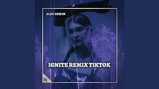 DJ IGNITE REMIX TIKTOK INSTRUMEN [upl. by Anyahc]