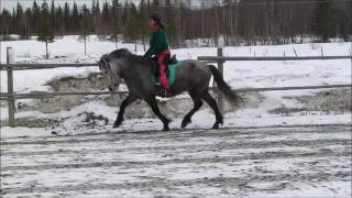 heida från Galgbacken [upl. by Cioffred]