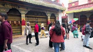 Delhi majnukatila near Tibetan monastery so many Indian students eating la phing [upl. by Ciel243]