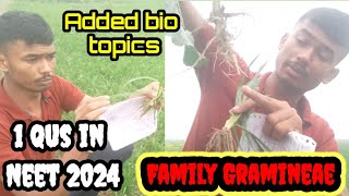 Added syllabus of biology neet family poaceae  Gramineae neet2024 biology doctor [upl. by Blase]