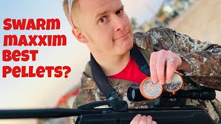 GAMO Swarm Maxxim which GAMO Pellet Works Better [upl. by Enirehtakyram]