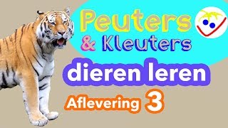 Dierennamen  Eerste Woordjes  Dieren Leren Aflevering 3 Peuters en Kleuters [upl. by Nomead557]