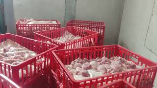 Chicken Freezing 40 Ton Per Day and Chicken Cold Storage at 25°C Plant in Africa [upl. by Hammel]