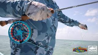 Lamson Litespeed M Fly Fishing Reel  The Fly Fishers [upl. by Ozzy]