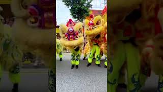 Lion Dance Singapore [upl. by Ducan]