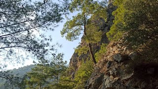 Kemer Beldibi Outdoor Walk Trip shorts Turkish Boohing [upl. by Nolyat581]