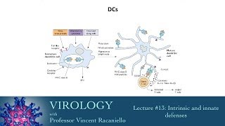 Virology 2014 lecture 13  Intrinsic and innate defenses [upl. by Ot]