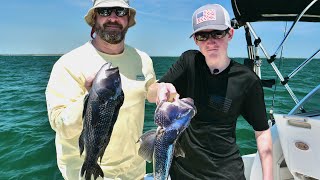 Springtime Black Sea Bass Fishing on Buzzards Bay [upl. by Ehav]