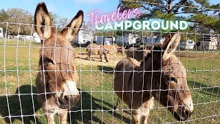 Travelers Campground Alachua FL  Devils Millhopper Geological State Park  Sinkhole Ecosystem [upl. by Eslud]