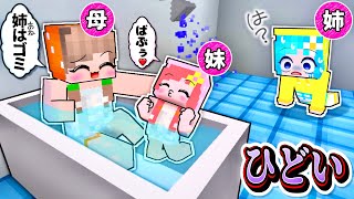 下の子ばかり可愛がるな！💢ぴこみんずマイクラドラマ 妹ばかりズルい兄弟あるある逆転ストーリー [upl. by Haceber]