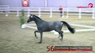 56 Junghengst v Cornet Obolensky  Burggraaf [upl. by Nnaear]