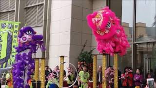 Chinese New Year 2017 Lion Dance  Discovery Bay Hong Kong [upl. by Storm]