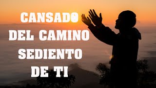 Mezcla De Alabanzas De Adoracion Mix  Musica Cristiana Sumergeme quotCansado del Caminoquot amp Mas Exitos [upl. by Ehud]