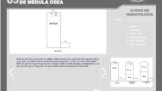 CURSO CTO HEMATOLOGÍA PARTE 1 [upl. by Willett]