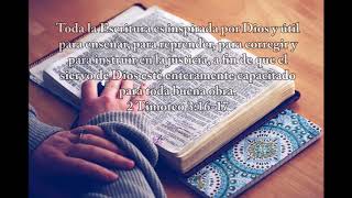 Musica para leer la Biblia  Instrumental cristiana que transmite Paz [upl. by Darlene413]