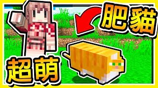 Minecraft 我養了像橘子冰【大肥貓】😂  貓星人發射電波【征服人類】結局超級感人  全字幕 [upl. by Minna29]