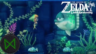 Your Road Goes into the Michael Bay  The Legend of Zelda Links Awakening 9 [upl. by Scornik177]