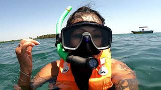 Snorkeling in Pasikuda Sri Lanka pt 1 [upl. by Cowan]