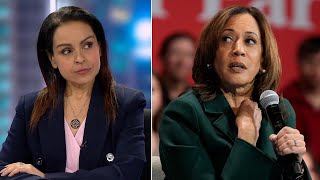 Lefties losing it Kamala’s ‘reckless’ and ‘disgusting’ antiTrump rhetoric [upl. by Ahsinroc]