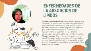 Absorcion de Lipidos [upl. by Etnaed]