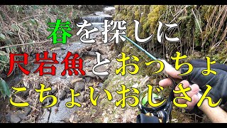 【渓流ミノー】春をさがしに。尺岩魚とおっちょこちょいおじさん [upl. by Eilatan]