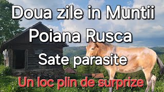 Doua zile in munti Sate izolate  Pastrav si ciuperci [upl. by Holihs143]