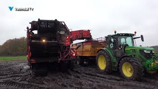 Aardappelen rooien onder extreme omstandigheden en daarna wassen [upl. by Gonta]